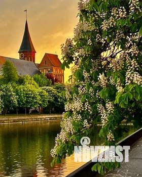 1-к квартира, посуточно, 39м2, 8/10 этаж