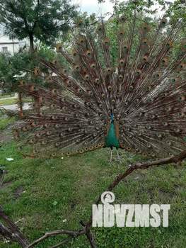 1-к квартира, посуточно, 21м2, 1/2 этаж