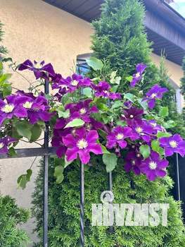 2-к квартира, посуточно, 88м2, 1/2 этаж