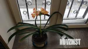 2-к квартира, посуточно, 58м2, 9/10 этаж