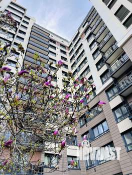 2-к квартира, на длительный срок, 80м2, 6/12 этаж