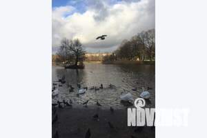 2-к квартира, посуточно, 57м2, 3/6 этаж