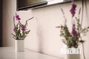 1-к квартира, посуточно, 43м2, 13/13 этаж