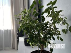 1-к квартира, посуточно, 46м2, 1/1 этаж