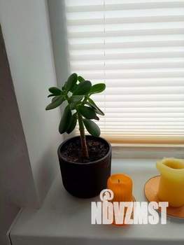 1-к квартира, посуточно, 24м2, 1/1 этаж