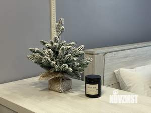 Студия квартира, посуточно, 33м2, 5/12 этаж