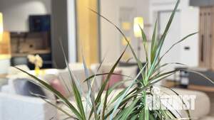 2-к квартира, посуточно, 68м2, 1/1 этаж