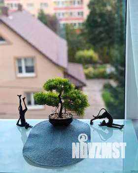 Студия квартира, посуточно, 25м2, 4/10 этаж