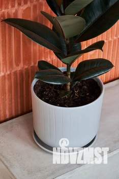 1-к квартира, посуточно, 34м2, 1/4 этаж