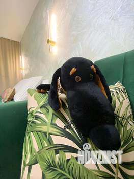 1-к квартира, посуточно, 32м2, 1/5 этаж