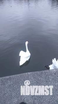 1-к квартира, посуточно, 35м2, 2/8 этаж