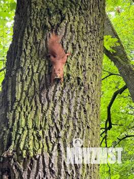 2-к квартира, посуточно, 78м2, 2/9 этаж