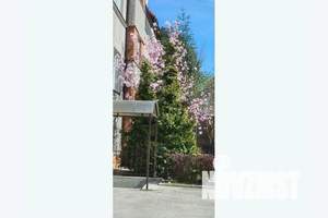 1-к квартира, посуточно, 38м2, 1/3 этаж