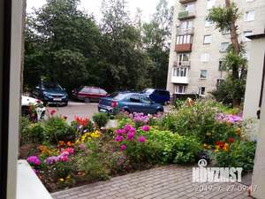 2-к квартира, посуточно, 53м2, 1/3 этаж