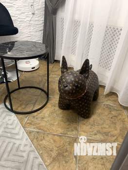 Студия квартира, посуточно, 33м2, 1/10 этаж