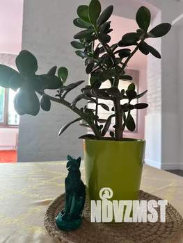 2-к квартира, посуточно, 88м2, 1/2 этаж