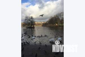 2-к квартира, посуточно, 57м2, 3/6 этаж