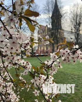 2-к квартира, посуточно, 57м2, 5/9 этаж