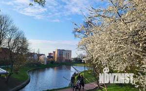 1-к квартира, посуточно, 46м2, 1/1 этаж
