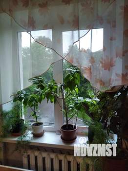 2-к квартира, на длительный срок, 46м2, 2/5 этаж