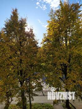 1-к квартира, на длительный срок, 41м2, 2/5 этаж