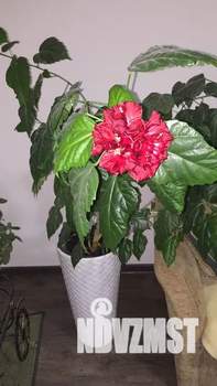 1-к квартира, посуточно, 40м2, 5/10 этаж