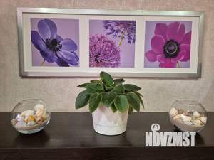 2-к квартира, посуточно, 76м2, 8/16 этаж