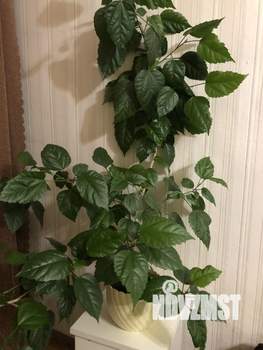 1-к квартира, на длительный срок, 36м2, 2/5 этаж