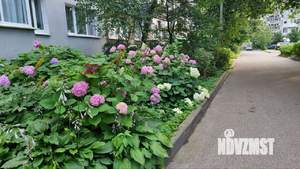 3-к квартира, вторичка, 64м2, 5/9 этаж