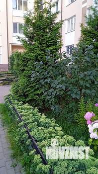 1-к квартира, вторичка, 39м2, 8/8 этаж