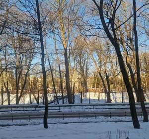 3-к квартира, вторичка, 83м2, 1/4 этаж