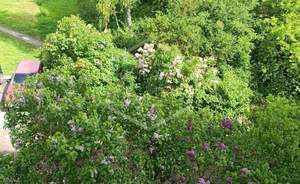 3-к квартира, вторичка, 58м2, 3/5 этаж