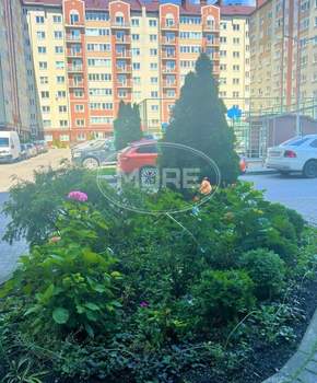 Фото квартиры на продажу (2)