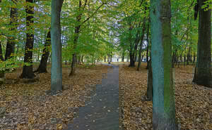 5-к квартира, вторичка, 195м2, 1/5 этаж