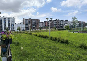 2-к квартира, вторичка, 85м2, 1/4 этаж