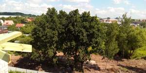 2-к квартира, вторичка, 80м2, 1/4 этаж