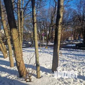 3-к квартира, вторичка, 83м2, 1/4 этаж