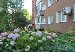 3-к квартира, вторичка, 64м2, 8/9 этаж