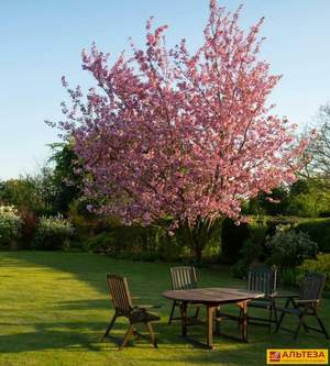 2-к квартира, сданный дом, 81м2, 2/4 этаж