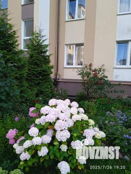 1-к квартира, вторичка, 39м2, 8/8 этаж