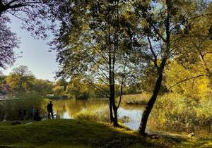 2-к квартира, вторичка, 51м2, 1/8 этаж