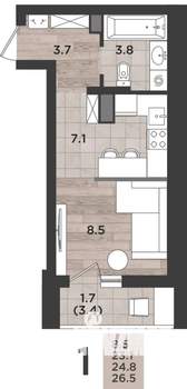 1-к квартира, вторичка, 25м2, 9/12 этаж