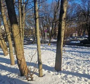 3-к квартира, вторичка, 83м2, 1/4 этаж