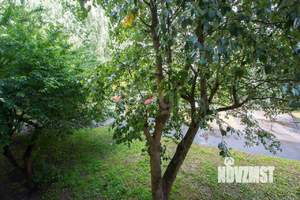3-к квартира, вторичка, 59м2, 2/5 этаж