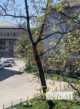 Студия квартира, вторичка, 20м2, 3/5 этаж