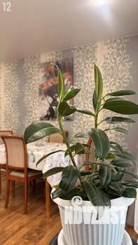 2-к квартира, вторичка, 54м2, 2/9 этаж