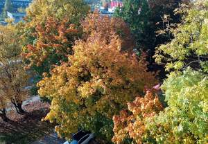 1-к квартира, вторичка, 39м2, 5/8 этаж