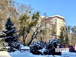 1-к квартира, вторичка, 49м2, 3/10 этаж