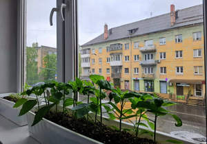 3-к квартира, вторичка, 100м2, 2/3 этаж