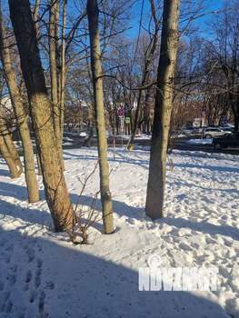 3-к квартира, вторичка, 83м2, 1/4 этаж